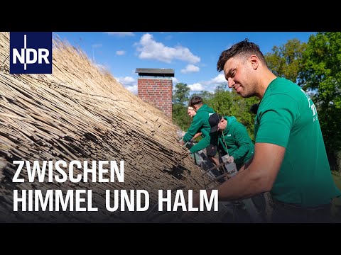 Oldenburger Land: Reetdachdecker der Zukunft | Die Nordreportage | NDR Doku