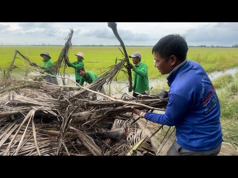 Dismantling a Rat Trap with Many Crisis, Nearly 30kg of Rats Hiding in Here | hunting | - TT2232