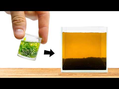 Seeding a Micro Crustacean Army