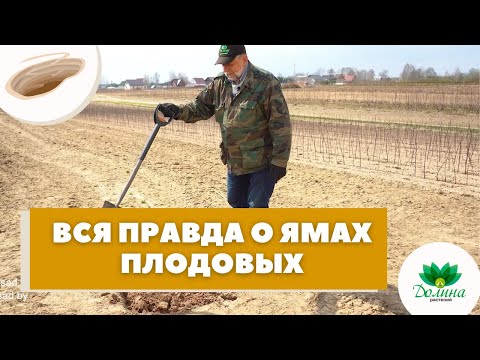 🧐ДЕНДРОЛОГ РАССКАЗАЛ ПРАВДУ О ЯМАХ!! 👉Для плодовых деревьев и кустарников🍐