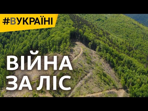 Війна за ліс | #ВУКРАЇНІ