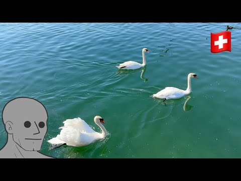 Zurich - Cooking for STIK