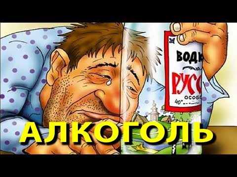 Бадыров пьяница?