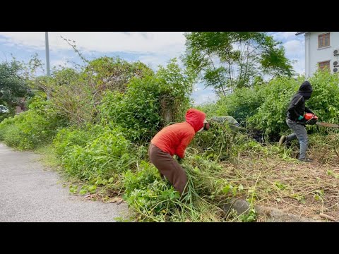 Elderly Exercise Area Invaded by Weeds—Terrifying Shock as We Cleaned It Up. #cleaning #cleanup