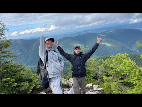 Хомʼяк! Карпати 2024. Підйом на гору зі сторони Яблуниці. Куди піти в Карпатах в гори