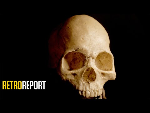 Raising Doubts About Evolution… in Science Class | Retro Report