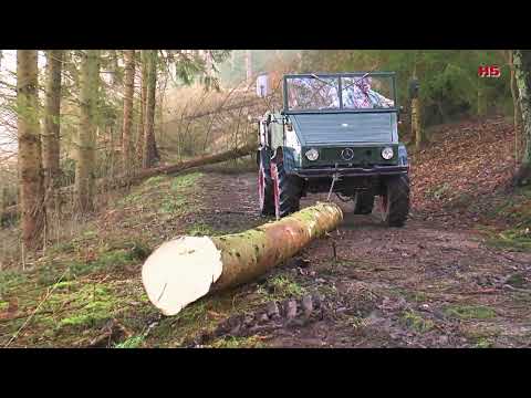 UNIMOG 411...komm wir fahren ins Holz