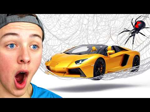 How Much Weight Can A Spider Web Hold?