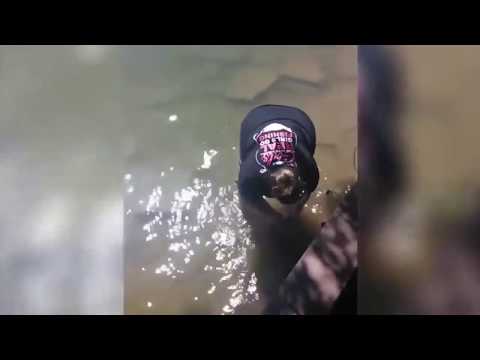 Awesome Funny Fishing Compilation