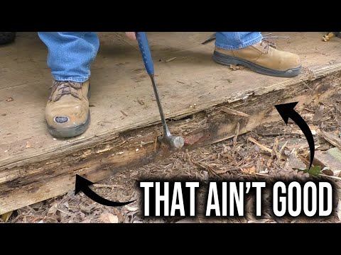 How to Replace Rotted Shed Framing | Box Joist | Step-by-Step DIY Guide 🏡