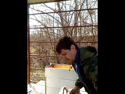 6-frame hive, advantage√3