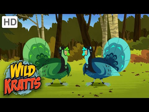Wild Kratts | Happy Turkey Day | Full Episode | Season 2