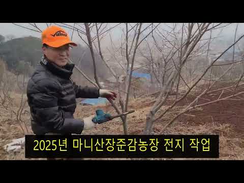 2025년 마니산 장준감 농장 전지 작업