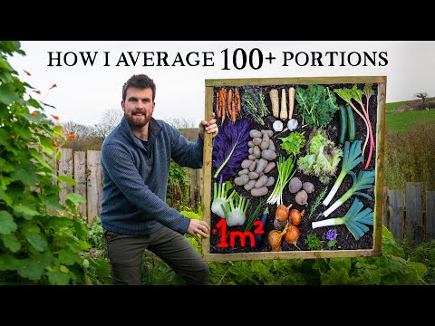You Only Need 1m² (10ft²) To Grow a Huge Amount of Food.