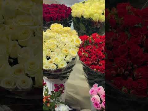 Ukraine 🇺🇦Life in Kiev. February 15, 2026. The Streets of Kiev, Ukraine. Streets Scenes.