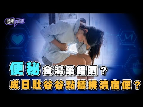 便秘食瀉藥錯晒？成日肚谷谷點樣排清宿便？ ｜ 健康關注組 ｜ EP314 ｜ 便秘 ｜ 宿便 ｜ 麥詩敏 ｜ 黃芳雯 ｜ HOY TV 77台