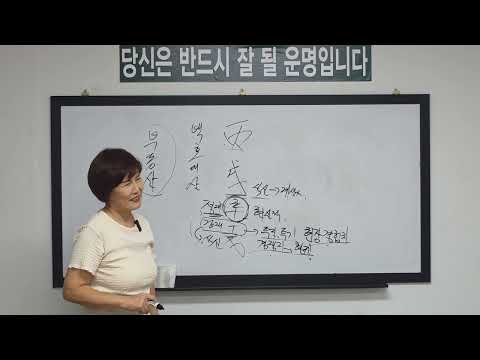 60갑자일주론) 병술일주