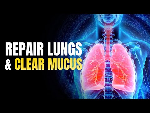 Detox Your Respiratory System | Repair Lungs & Clear Mucus | Enhance Oxygen Breathing | 741 hz