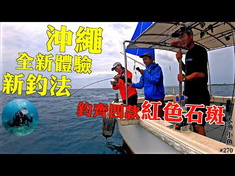 主攻底物的新釣法- 天亞（Tenya）釣齊四款紅色石斑┃青之洞潛水 全新體驗┃沖繩釣魚🎣x潛水🤿┃大漁小魚# 270 ┃中文字幕