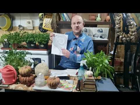 Не ДЕЛАЙТЕ этого с СЕМЕНАМИ. Лишитесь Урожая!