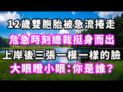 12歲雙胞胎被急流捲走，危急時刻總裁挺身而出，上岸後三張一模一樣的臉大眼瞪小眼：你是誰？#爽文#大女主#現實情感#家庭