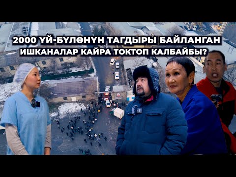 Тамтыгы чыккан "Фрунзеге" жан берген ишкерлер/ Мэриянын доосу/ 2000 адамдын тагдыры
