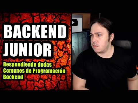 What is a Junior Backend Programmer?