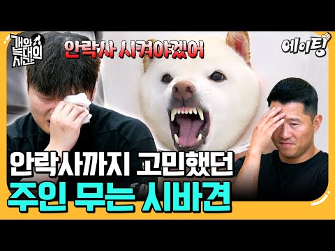 [#에이팅] 강형욱도 늑대라고 인정한 시바견 등장💥 주인까지 무는 입질에 결국 안락사 위기?!😰 | #개와늑대의시간 4회