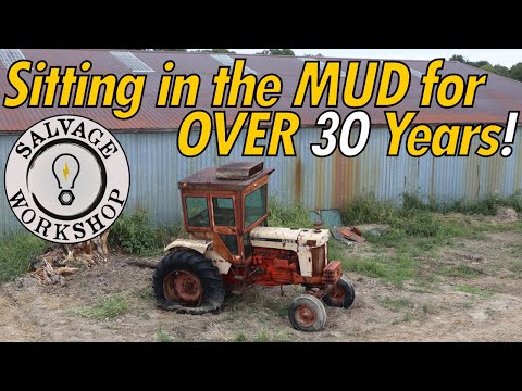 Rescuing 1960's Tractors for USE on a Friends Farm ~ Forgotten in a CROWD of OTHER old Tractors