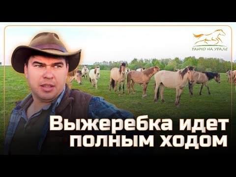 Готовимся к 9 Мая / Установили в нашем родном селе Улу-Теляк бюст Шаймуратову Минигали Мингазовичу