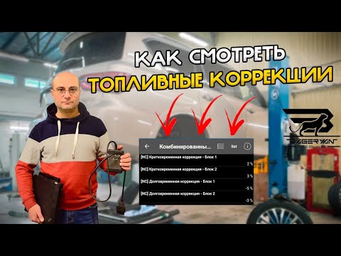 ТОПЛИВНЫЕ КОРРЕКЦИИ. Как их СМОТРЕТЬ и ЗАЧЕМ