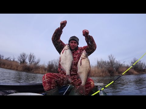 ОГО! БОРА ГИГАНТ, как ЛЕЩ. КРУПНАЯ ГУСТЕРА НА ВСЕХ КРЮЧКАХ. Зимняя рыбалка на донку без льда.