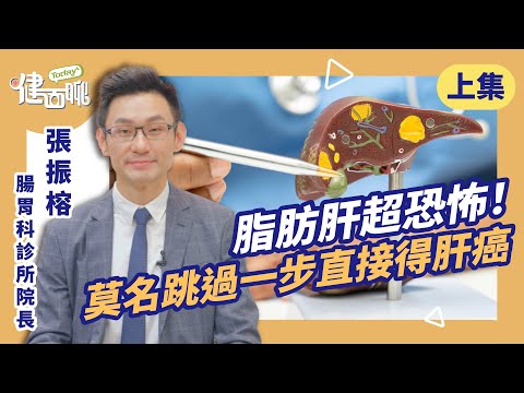 20%脂肪肝患者會直接肝癌！你還無感嗎？(上)【TODAY健面聊｜張振榕醫師】