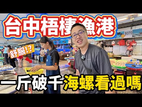 第一次逛梧棲 全場看起來超舒服 還意外獲得印尼傳說食譜 價格不斐卻意外超級好吃的神級海螺!!一定要買!!!! 梧棲漁港 破產全紀錄!!!找看起來舒服的!!!