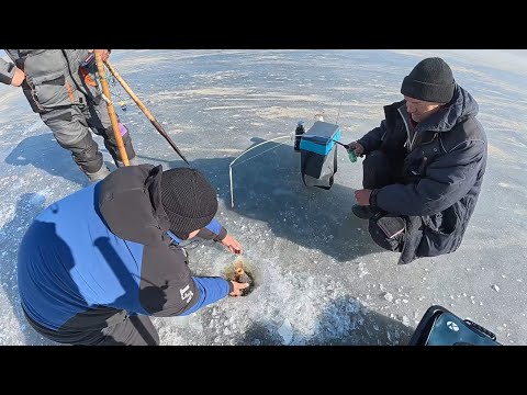 Ловля САЗАНА зимою на боковий кивок, Рибалка на сазана