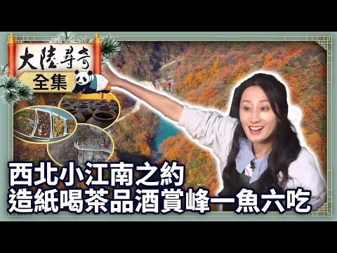 《完整版》西北小江南之約 造紙喝茶品酒賞峰一魚六吃【‪‪‪‪‪‪@ctvchinatvEP2089】#大陸尋奇 #陝西 #漢中 #羌繡 #漢中仙毫 #黃酒 #蔡倫造紙 #白火石汆湯 #龍頭山#一魚六吃