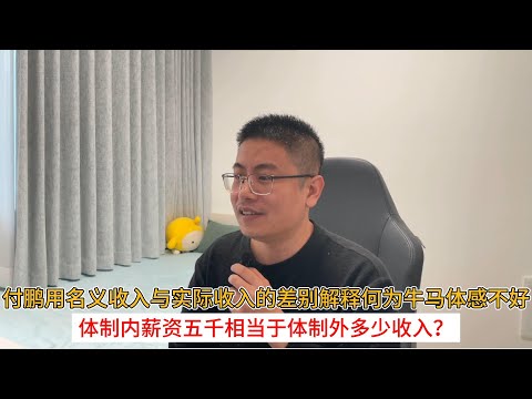 付鹏用名义收入与实际收入的差别解释何为牛马体感不好；体制内薪资五千相当于体制外多少收入？