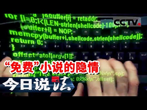《今日说法》每天蒸发近百万元！防护形同虚设 谁在“偷走”我们的付费小说？20251031 | CCTV今日说法官方频道