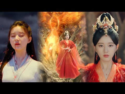 Devastated by her beloved man, the bullied fairy rises anew as the phoenix and conquers the world!