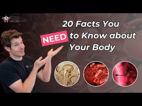 Do You Know These Incredible Facts About the Human Body?