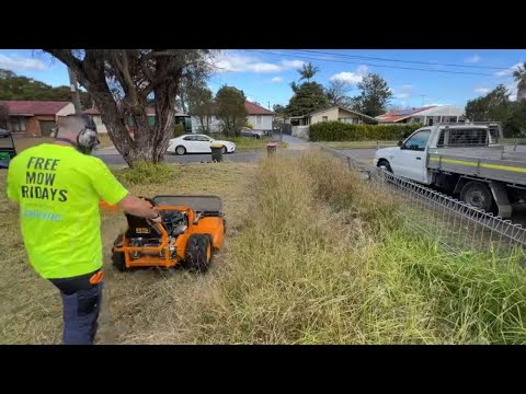 Wait until you see the backyard. This is going to be an EPIC overgrown Lawn Clean up.