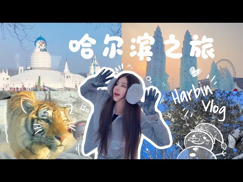 超长哈尔滨Vlog｜无限回味7天吃喝玩乐✨