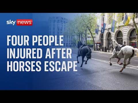 Four people injured after military horses escape in London