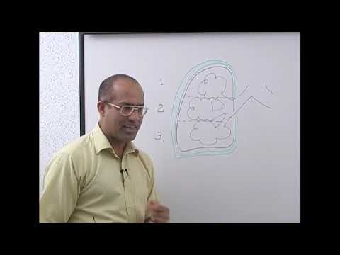 Ventilation Perfusion Ratio part 1
