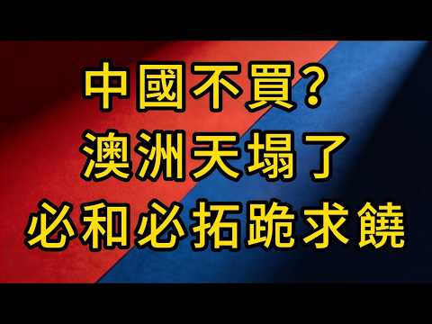 一場15年的頂級絞殺!中國「斷草除根」計中計,澳洲鐵礦霸權一夜崩塌,西方金融收割機徹底報廢!