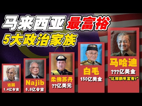 白毛和马哈迪的隐藏财富, 比郭鹤年还多⁉️ “他们”才是🇲🇾真正的“亿万富翁“💰