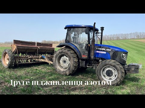 Друге підживлення пшениці озимої. Прикоренево, карбамідом.