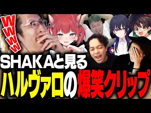 ハルヴァロの爆笑クリップを見るSHAKA【VALORANT】
