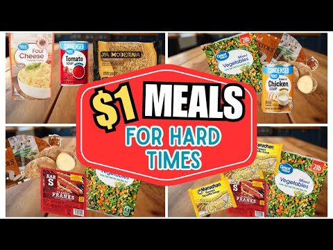 ‼️$1 EMERGENCY MEALS ‼️|| $1 Feeds My Entire Family of 5 || Meals for Hard Times