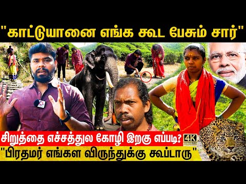 வால்பாறை To டெல்லி பிரதமர் இல்லம்.. பிரதமரே விருந்துக்கு அழைத்த பழங்குடி தம்பதி| Valparai |Wild Life